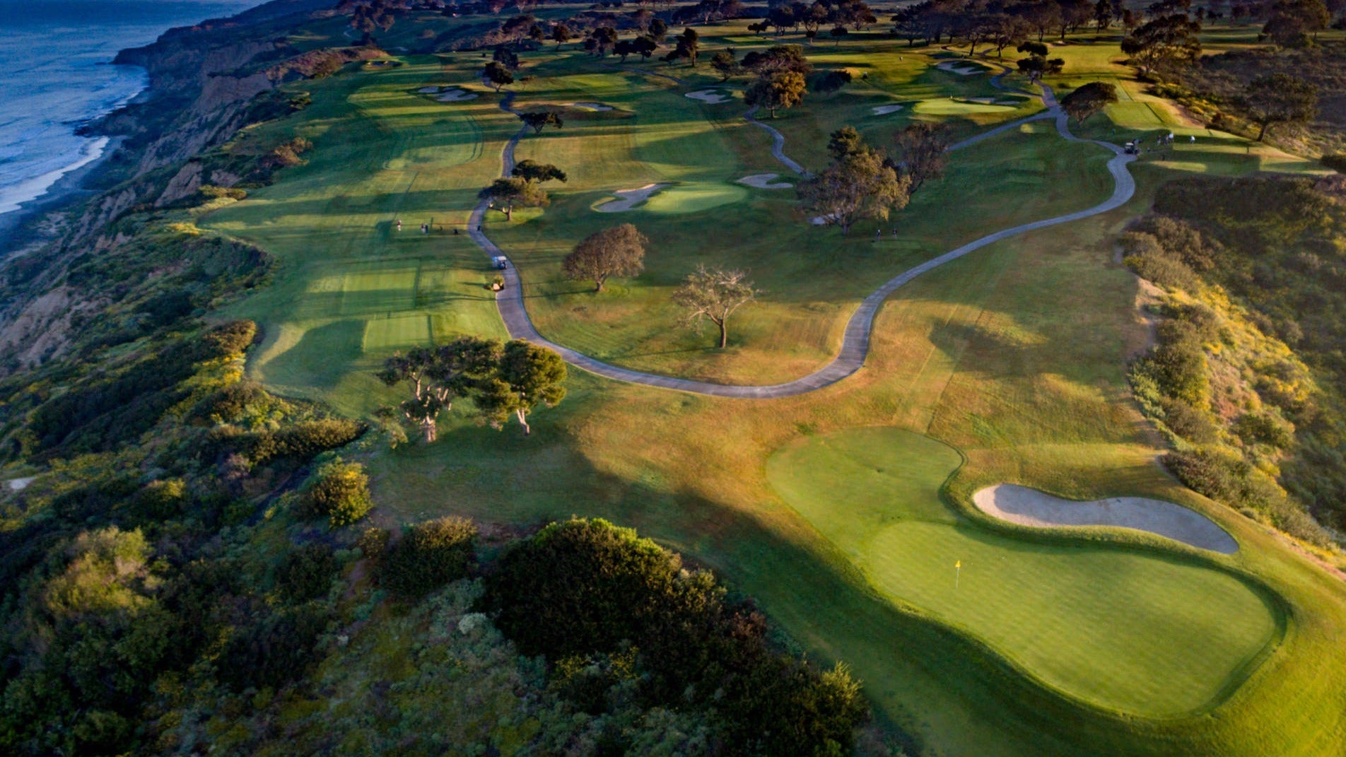 Torrey Pines