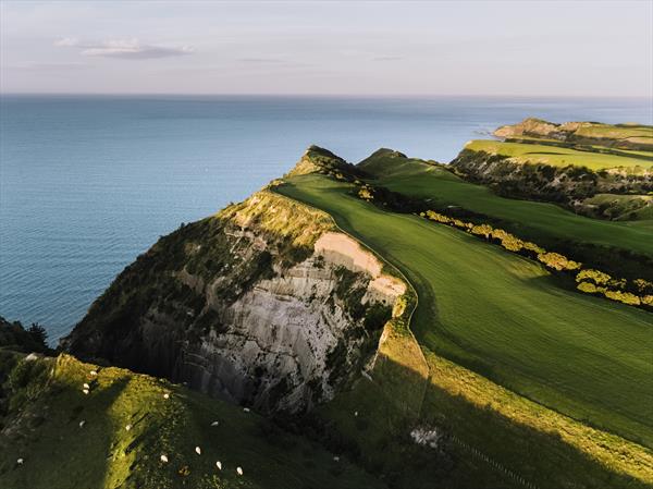 NZ - North Island