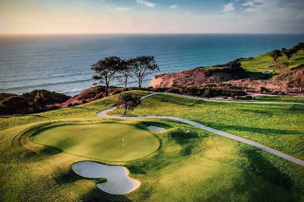Torrey Pines